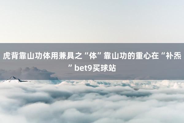 虎背靠山功体用兼具之“体”靠山功的重心在“补炁”bet9买球站