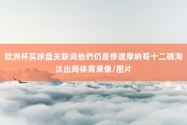 欧洲杯买球盘关联词他們仍是慘遭摩納哥十二碼淘汰出局体育录像/图片