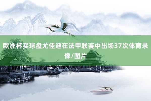 欧洲杯买球盘尤佳迪在法甲联赛中出场37次体育录像/图片