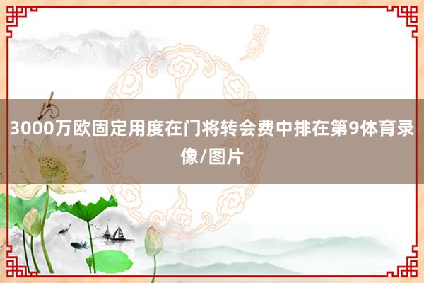 3000万欧固定用度在门将转会费中排在第9体育录像/图片