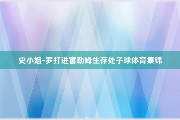 史小姐-罗打进富勒姆生存处子球体育集锦