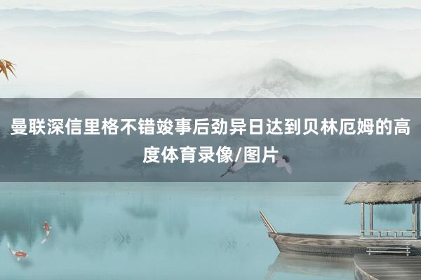 曼联深信里格不错竣事后劲异日达到贝林厄姆的高度体育录像/图片