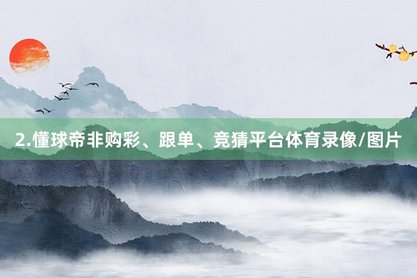 2.懂球帝非购彩、跟单、竞猜平台体育录像/图片